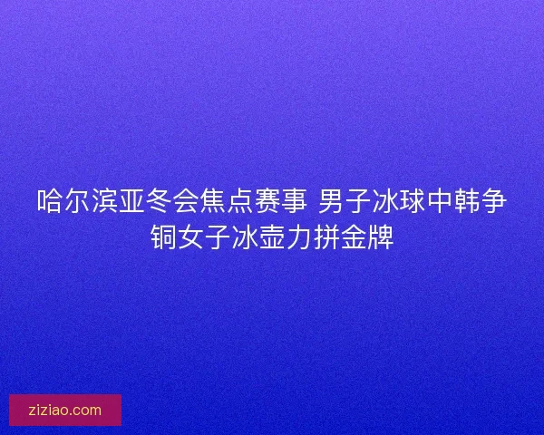 哈尔滨亚冬会焦点赛事 男子冰球中韩争铜女子冰壶力拼金牌