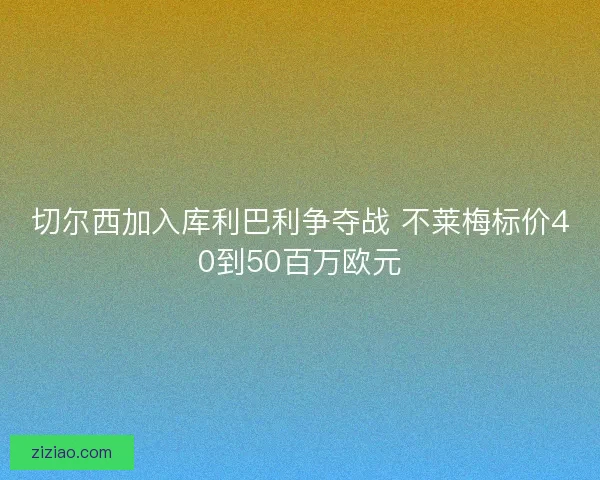 切尔西加入库利巴利争夺战 不莱梅标价40到50百万欧元